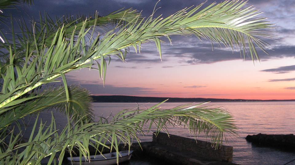 Bed And Breakfast Miramar Starigrad Paklenica Exteriör bild